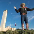 Health and Safety Measures for Festivals in Dallas County, TX