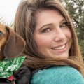 Are Pets Allowed at Festivals in Dallas County, TX?