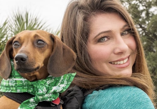 Are Pets Allowed at Festivals in Dallas County, TX?